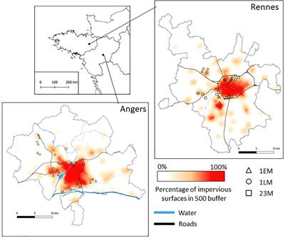 Both management practices and landscape influence plant communities in urban grasslands
